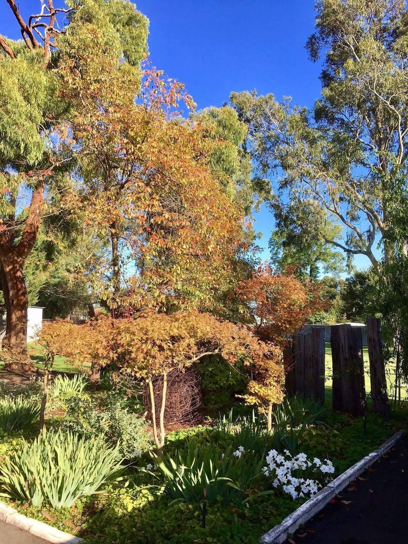 Manjimup Kingsley Motel المظهر الخارجي الصورة